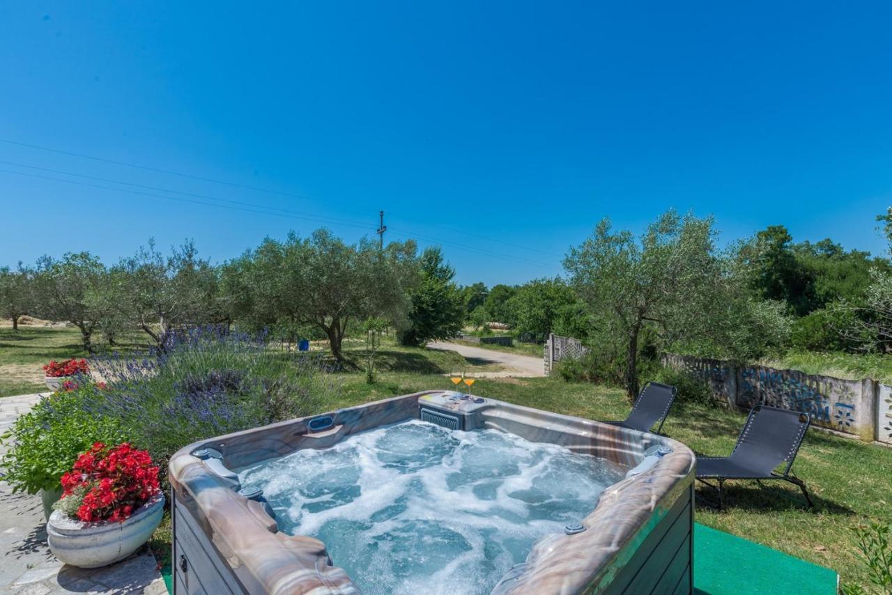 Sveti Lovreč PazenatičkiFerienhaus Zora With Whirlpoolアパートメント エクステリア 写真